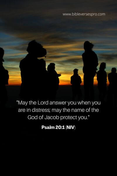 Psalm 20_1 (NIV)