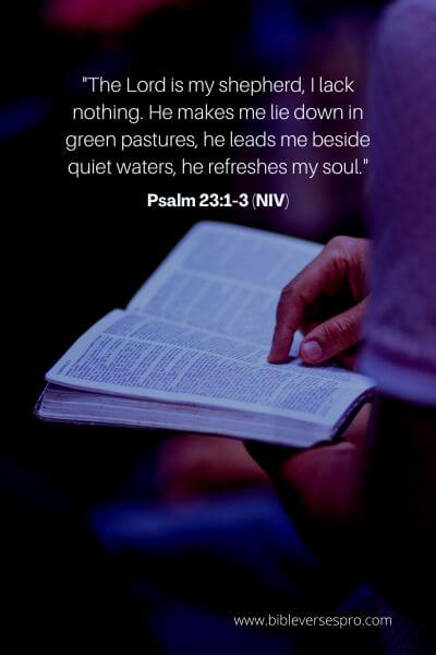 Psalm 23_1-3 (NIV)