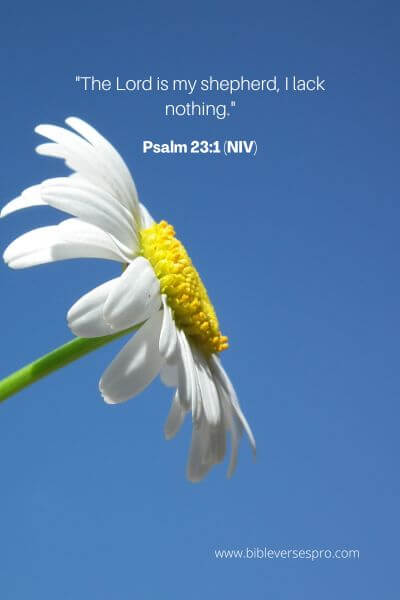 Psalm 23_1 (Niv)