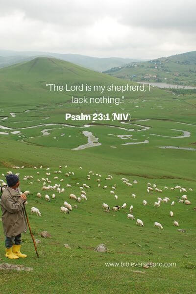 Psalm 23_1 (Niv)