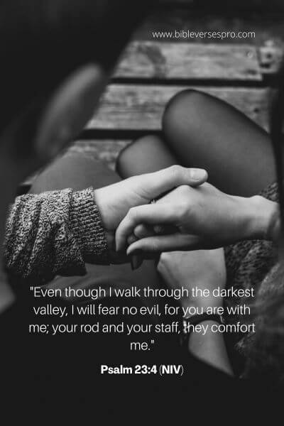 Psalm 23_4 (NIV)