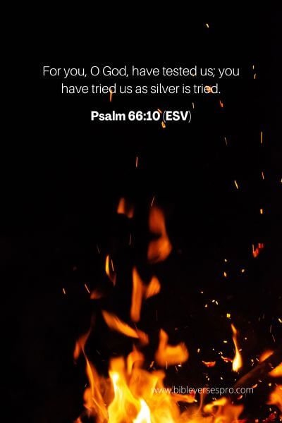 Psalm 66_10 (Esv)