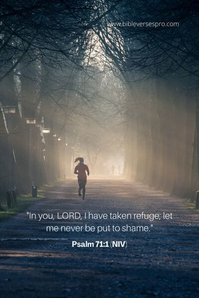 Psalm 71_1 (NIV)