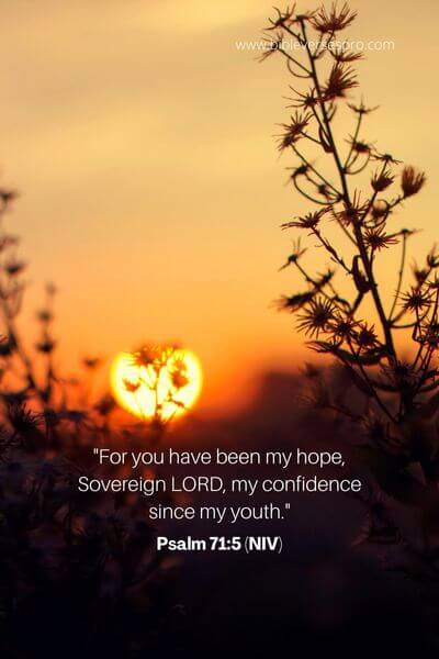 Psalm 71_5 (NIV)