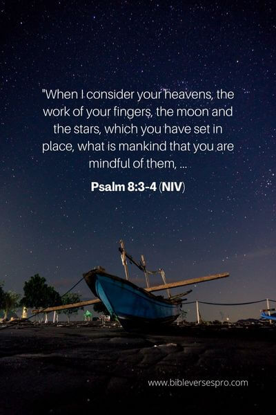 Psalm 8_3-4 (NIV)