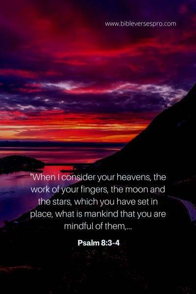 Psalm 8_3-4