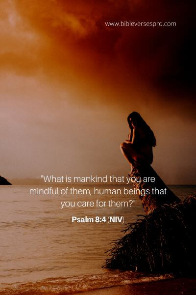 Psalm 8_4 (Niv)