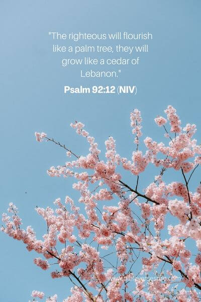 Psalm 92_12 (NIV)