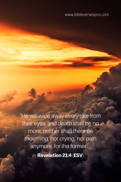 Revelation 21_4 (Esv)
