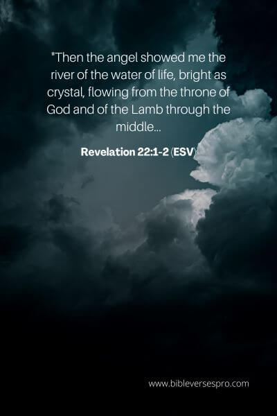Revelation 22_1-2 (Esv)