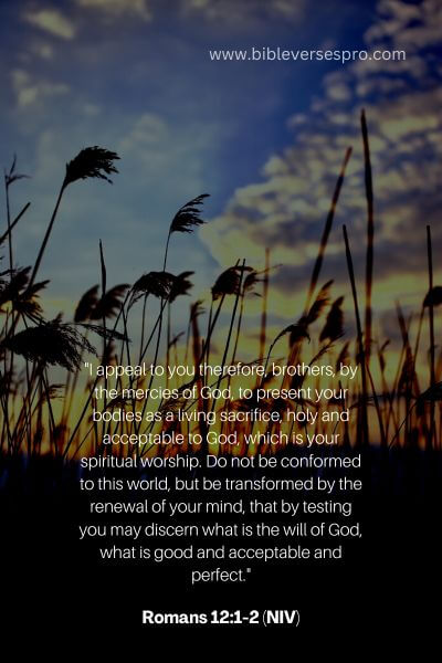 Romans 12_1-2 (Niv)