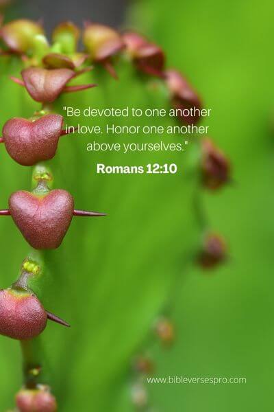 Romans 12_10