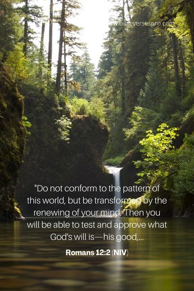 Romans 12_2 (NIV)
