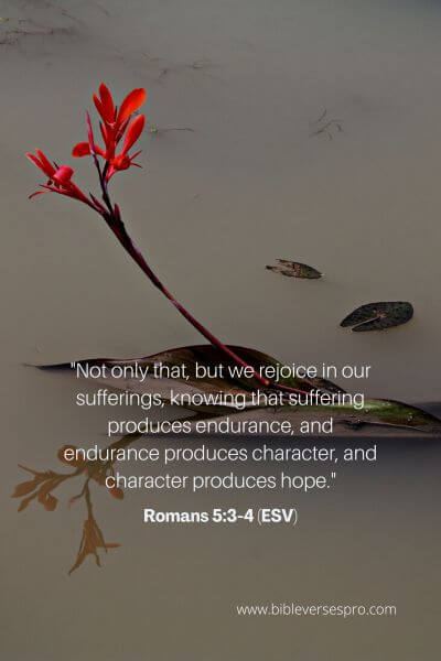 Romans 5_3-4 (Esv)