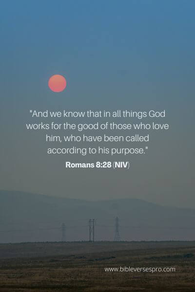 Romans 8_28 (Niv)