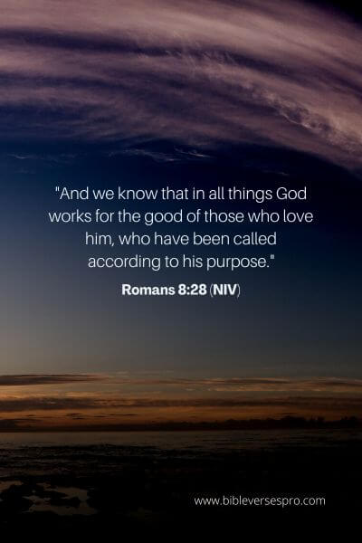 Romans 8_28 (Niv)