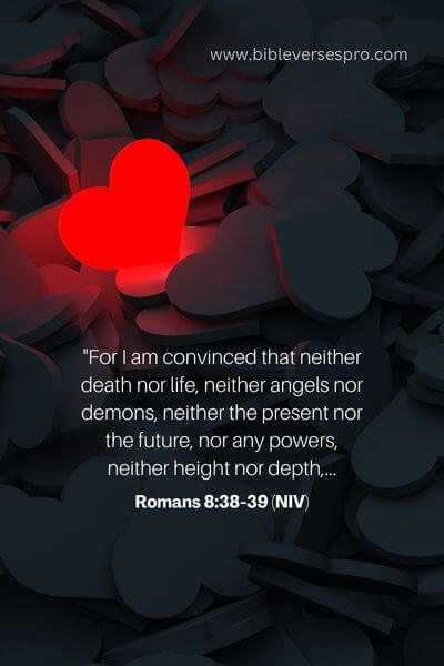 Romans 8_38-39 (Niv)
