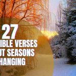 TOP BIBLE VERSES ABOUT SEASONS CHANGING (1)