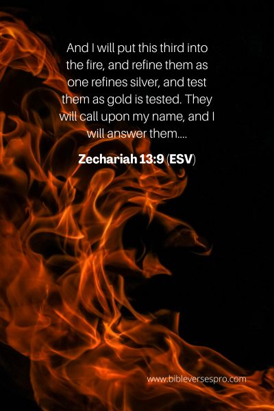 Zechariah 13_9 (Esv)