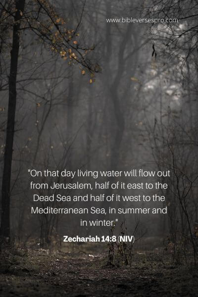Zechariah 14_8 (Niv)