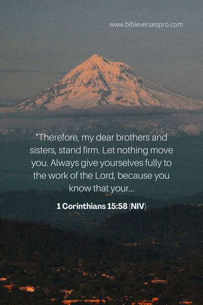 1 Corinthians 15_58 (NIV)