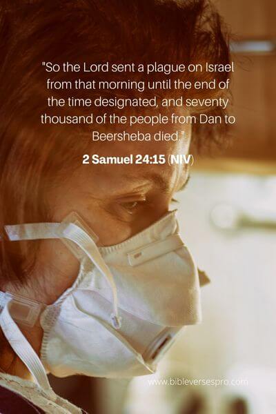 2 Samuel 24_15 (NIV)