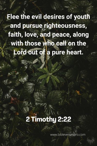 2 Timothy 2_22