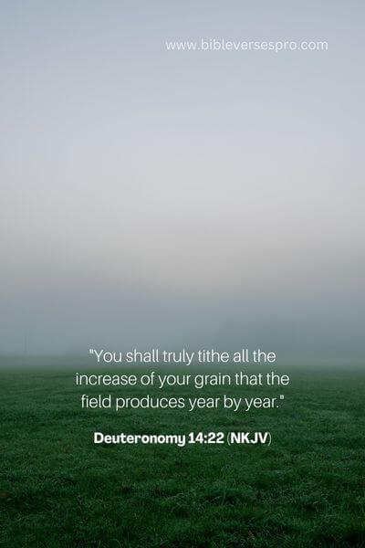 Deuteronomy 14_22 (NKJV)