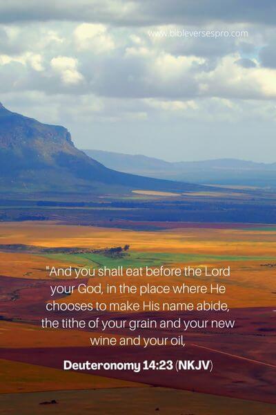 Deuteronomy 14_23 (NKJV)