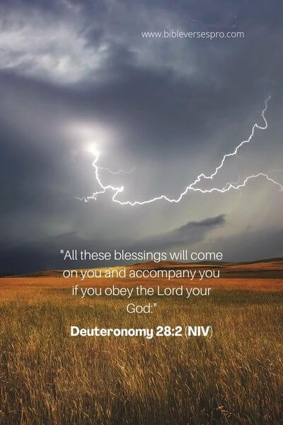 Deuteronomy 28_2 (Niv)