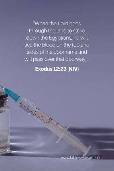 Exodus 12_23 (NIV)