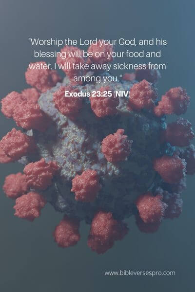 Exodus 23_25 (NIV)