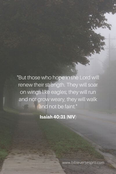 Isaiah 40_31 (NIV) (1)