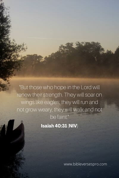 Isaiah 40_31 (Niv)