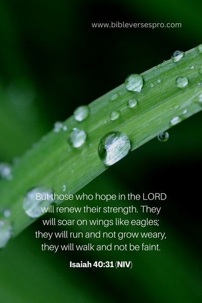 Isaiah 40_31 (Niv)