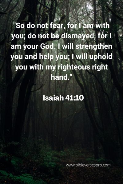Biblical Verses On Bullying
