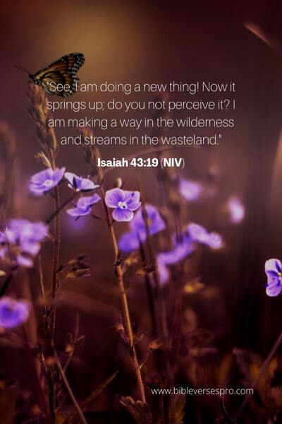 Isaiah 43_19 (Niv)