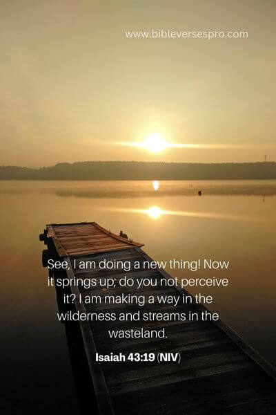 Isaiah 43_19 (Niv)