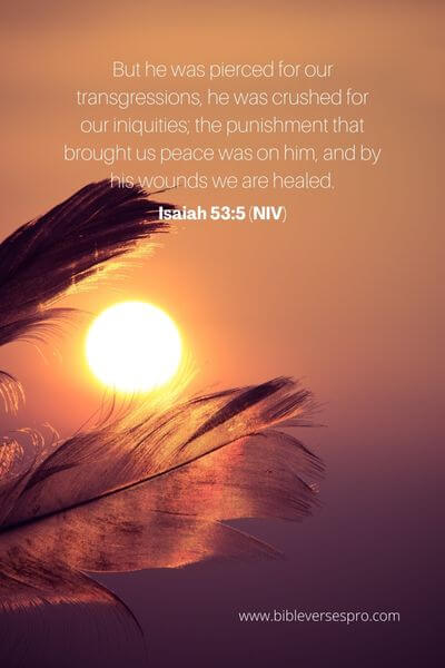 Isaiah 53_5 (Niv)