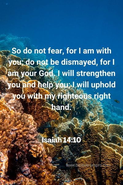 Isaiah14_10