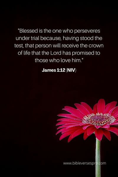 James 1_12 (Niv)