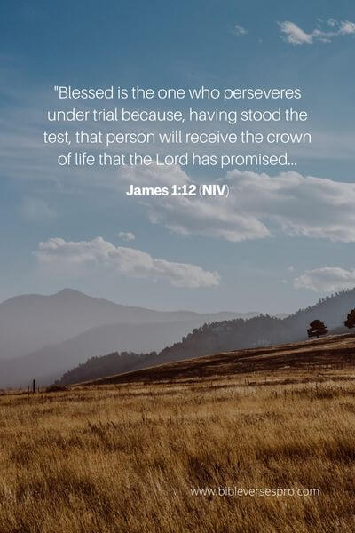 James 1_12 (Niv)