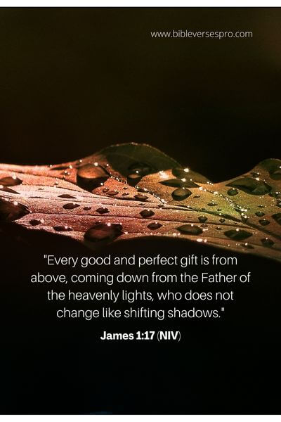 James 1_17 (Niv)