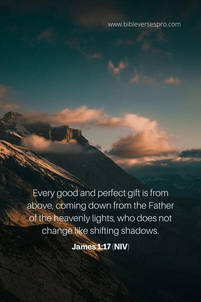 James 1_17 (Niv)
