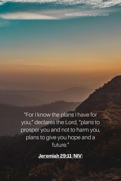 Jeremiah 29_11 (NIV)