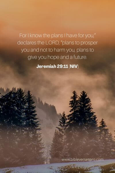 Jeremiah 29_11 (Niv)