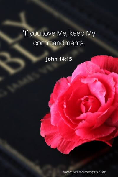 John 14_15