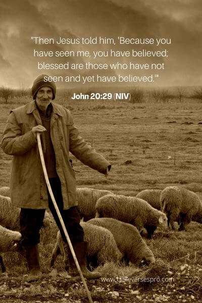 John 20_29 (NIV)