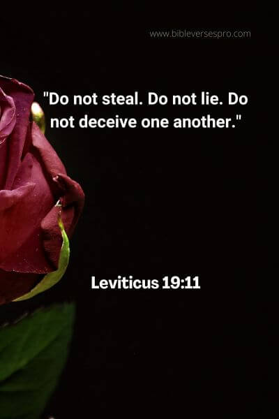Leviticus 19:11