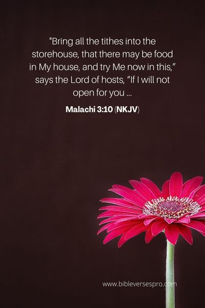 Malachi 3_10 (NKJV)